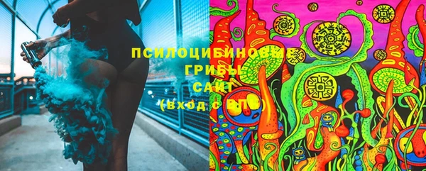 PSILOCYBIN Богородск